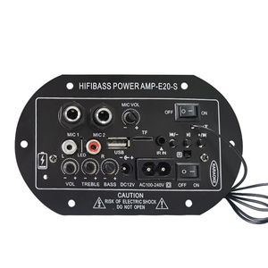 Factory Supply 12V 220V Home Audio Power <strong>Amplifier</strong> Rechargeable Digital BT MIC <strong>Input</strong> TF USB Mixer for Karaoke Home Use - Product Image 1