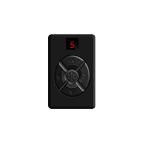 Trasmettitore remoto a codice fisso a 5 canali 250-450Mhz duplicatore remoto supporto 5 porte nel frattempo interruttore di controllo del codice fisso