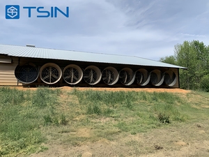 Tsin Thiết Kế Thực Tế Gió Tuyết Kháng Đẹp An Toàn Kết Cấu Thép Đơn Giản Cài Đặt Gà <span class=keywords><strong>Coop</strong></span> Công Ty Cho Trang Trại Nhà - Product Image 2