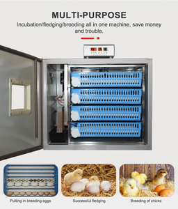 Yüksek güvenlik seviyesi Couveuse Oeuf Automatique yumurta kuluçka otomatik 500 yumurta kuluçka - Product Image 4