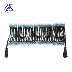 Aoying Акция DC12V адресуемый WS2811 Smart Bullet Led Pixel Ip68 18awg с разъемами Xconnect/Ray Wu - Product Image 2