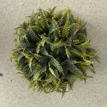 สีเขียว