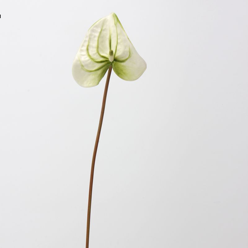 Verde pepino verde