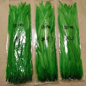 Wholesale 100pcs Per Pack 35-40cm Rooster Tails <strong>Feather</strong> Coque <strong>Feather</strong> For Carnival Festival Holiday Costume Decorations - Product Image 3