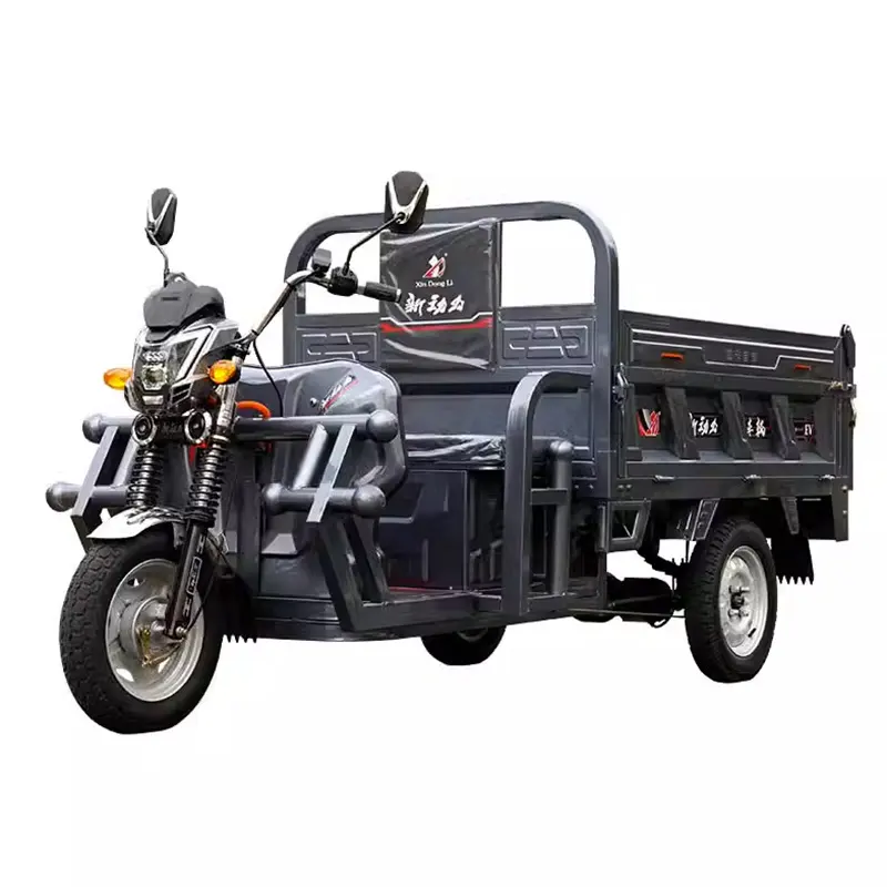 Trike Electric 60v 1500w貨物大人用電動トランスポーターカスタマイズ3輪電動スクーター2シートEecオープン