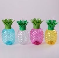 Ananas in plastica 500ml