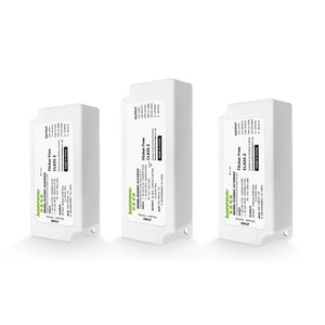 Corriente constante 0-10V oscurecimiento Software de programación CUL FCC certificación ERP Controlador de potencia Tamaño pequeño Controlador LED pequeño