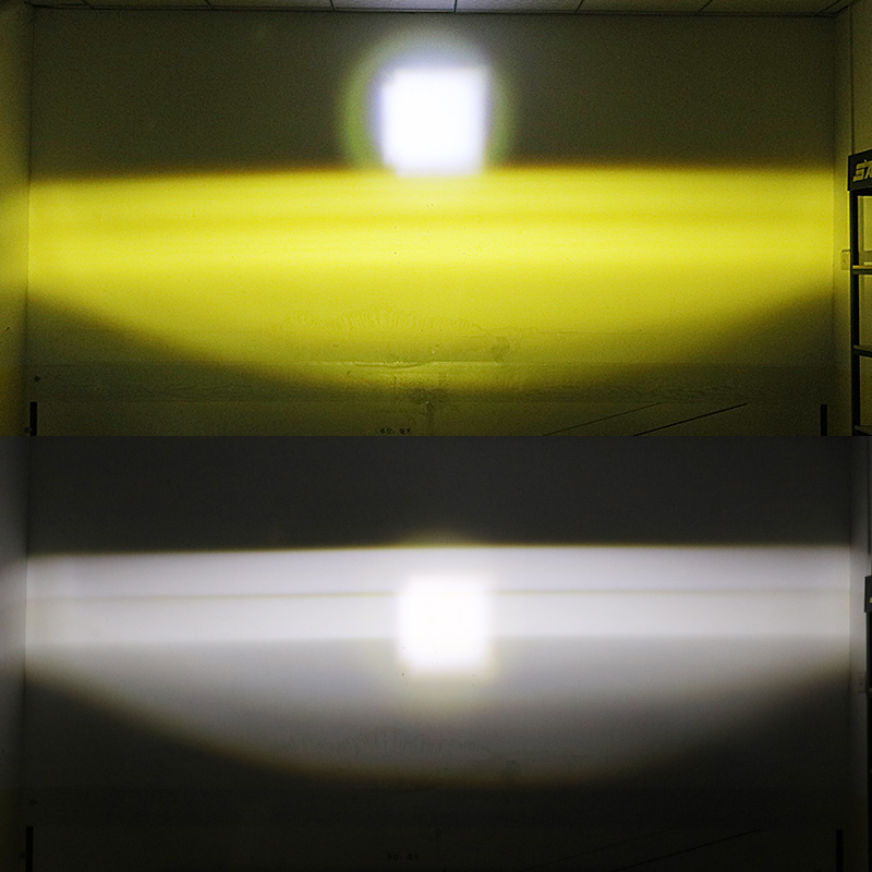 Bicolore jaune-blanc