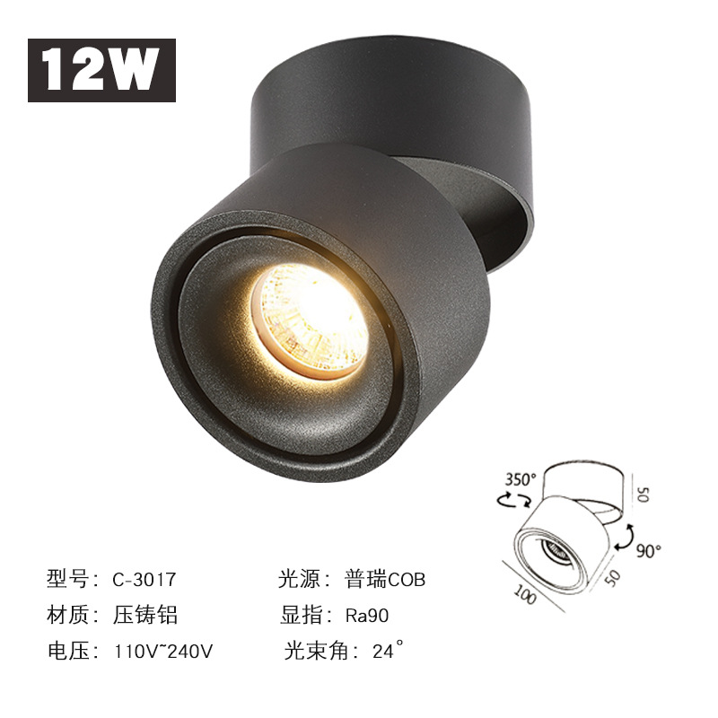 noir 12w