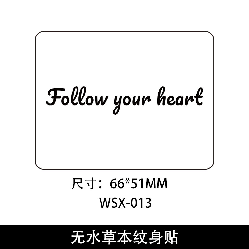 WS-013
