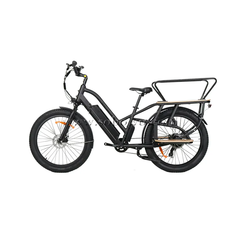 Cargo Bicycle Wholesales Hidden Battery Unique Design Electric Bike With Guard Rail