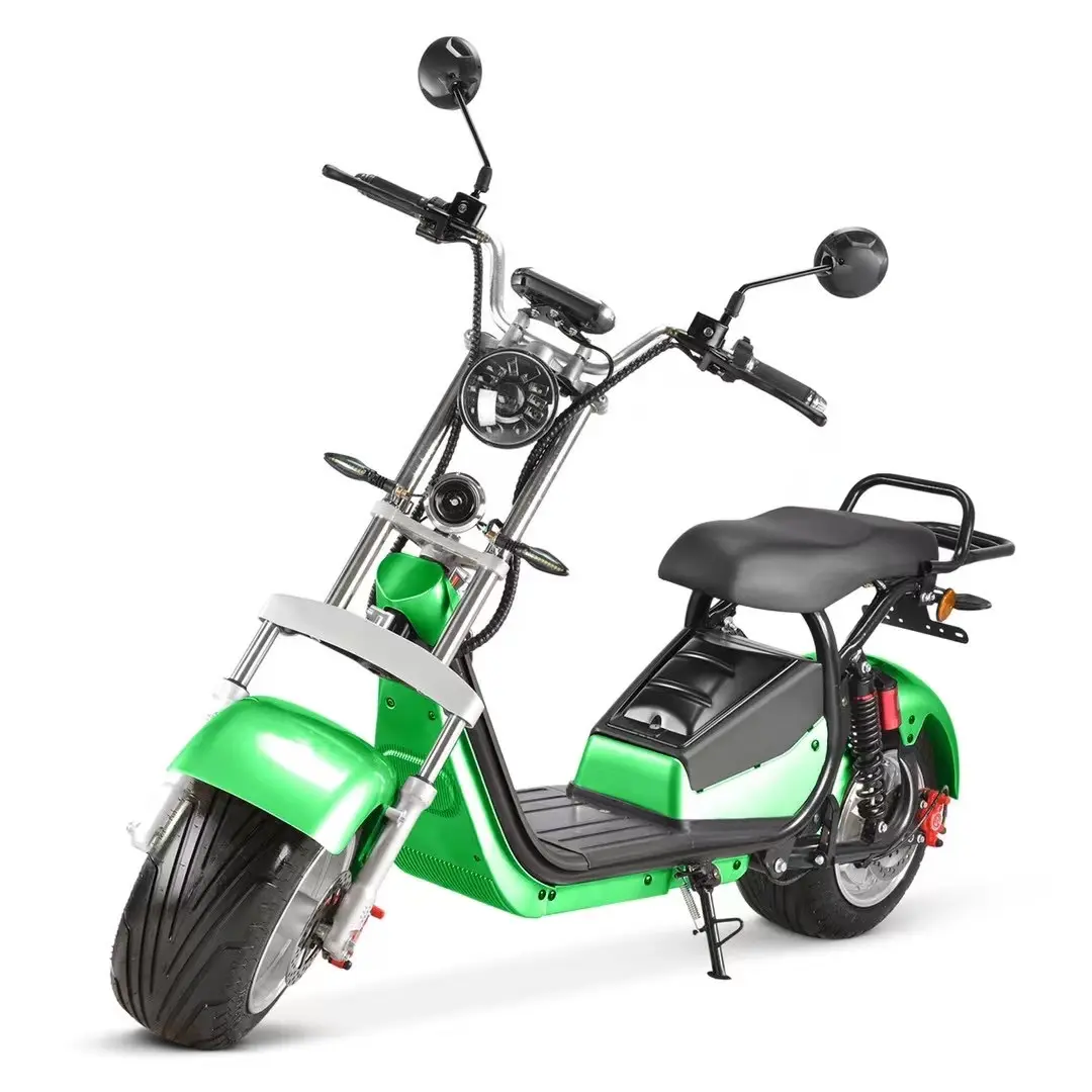 Eeg/Coc Gecertificeerd Elektrische Motorfietsen 1500W Dubbele Zitting 2 Wiel Elektrische Scooter Volwassen Citycoco Voor Verkoop