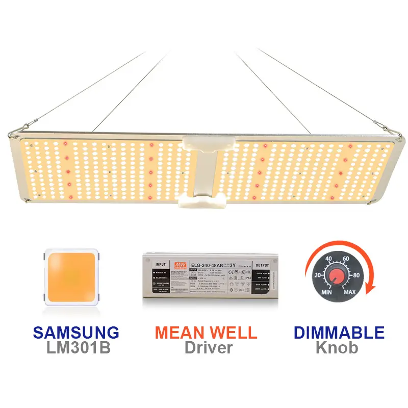 전체 스펙트럼 240W LED 성장 빛 방수 보드 삼성 LED 성장 조명 텐트 전체 키트 실내 식물 묘목