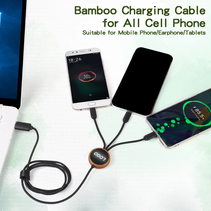 Werkseitig leuchtendes Glow UP LOGO Typ-C-Daten RPET Bamboo 4 in 1 Lade-USB-Kabel