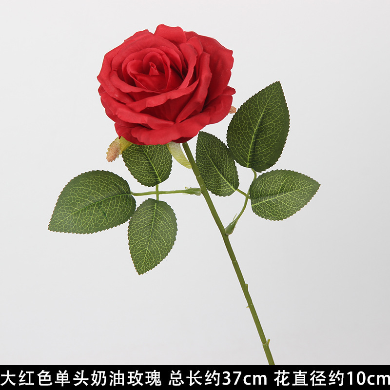 Rose crème rouge à une tête