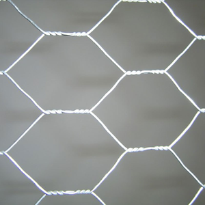 Factory Outlet Verzinkter und PVC-beschichteter sechseckiger Drahtgitter Farm Chicken Netting Iron Wire Mesh Fence - Product Image 5