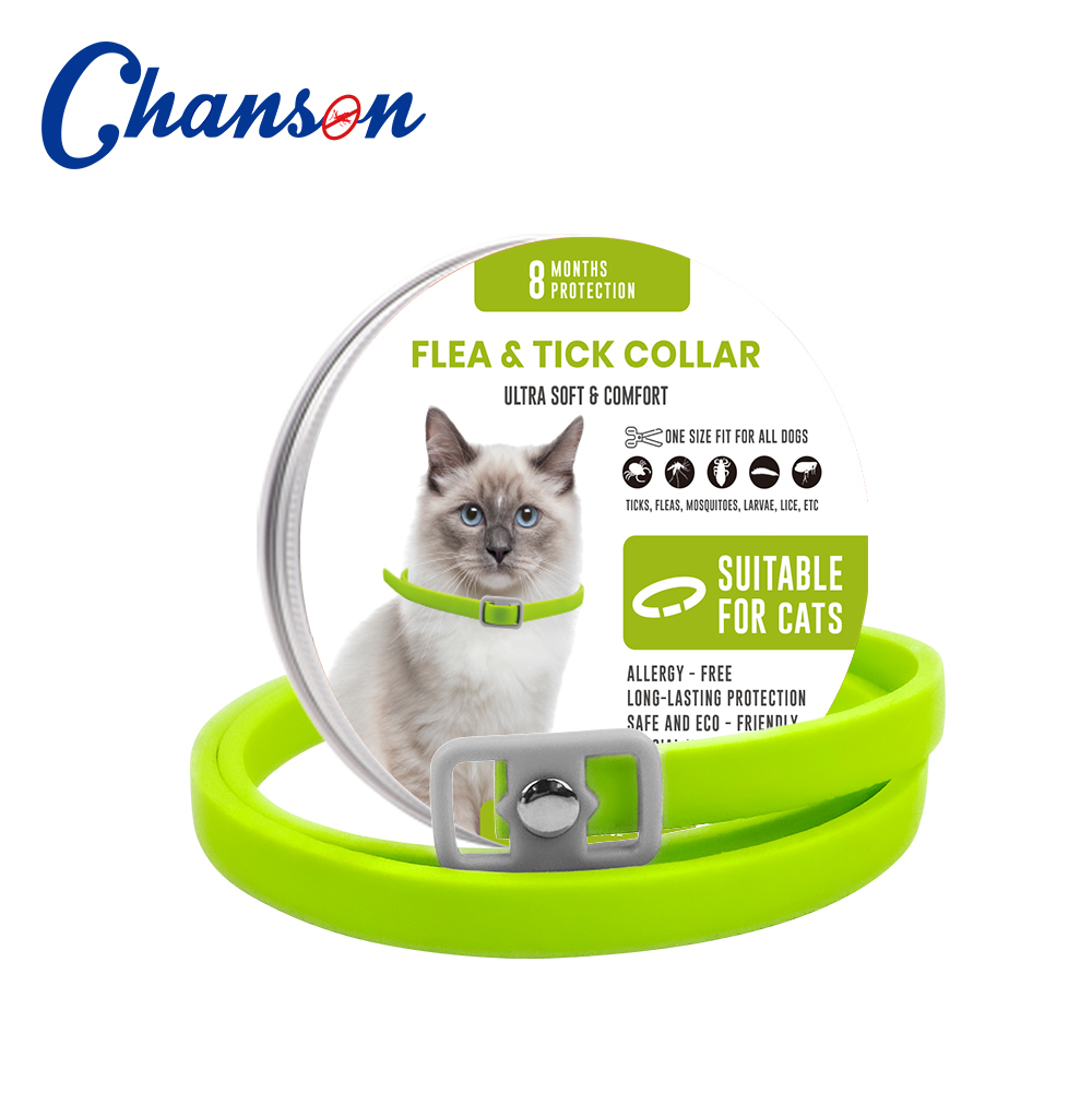 Green Cat