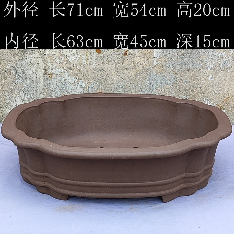 Petit pot de bégonia-1 pièce