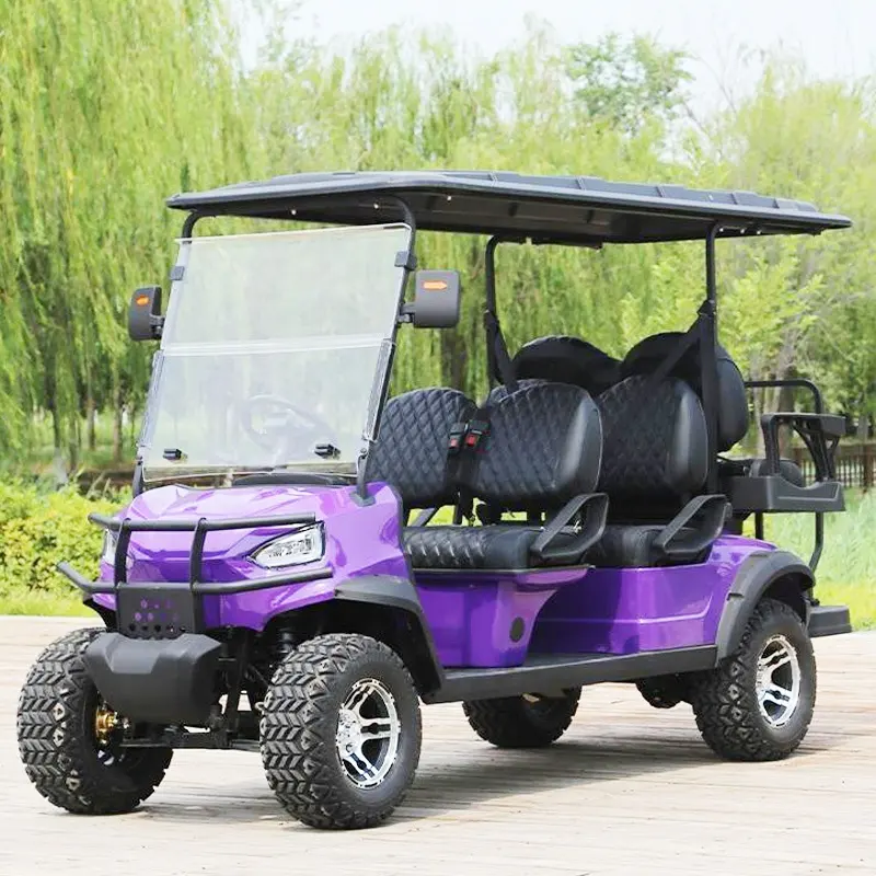 Ckd Golfcar Hm4-1電動6人乗りゴルフカートストリートリーガルEc承認リチウム折りたたみ式フロントガラスガルバナイズシャーシ付き