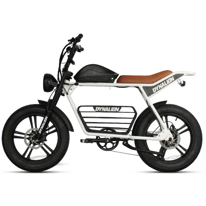 DYNALION 48v1000w格安アダルトMtbFatbikeサイクルレトロEバイクハイブリッドマウンテンダートEbikeEバイクファットタイヤ電動ダートバイク