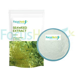 FocusHerb <strong>Fucoidan</strong> Supplement Kelp Extract Powder 5%-85% <strong>Fucoidan</strong>