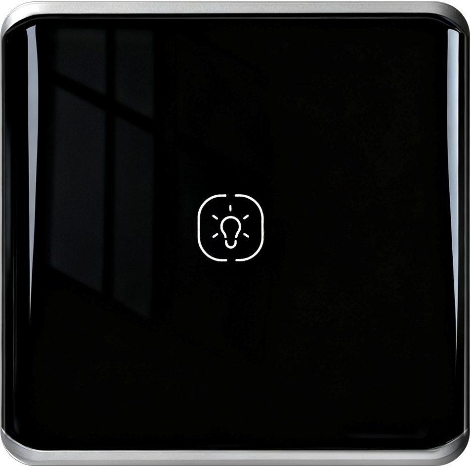 Black 1gang WIFI