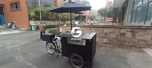Customizable Food Ice Cream Gelato Coffee Carts <strong>Trailers</strong> Truck Vending <strong>Trolley</strong> <strong>Electric</strong> Commercial Bicycle Ice Cream Cart
