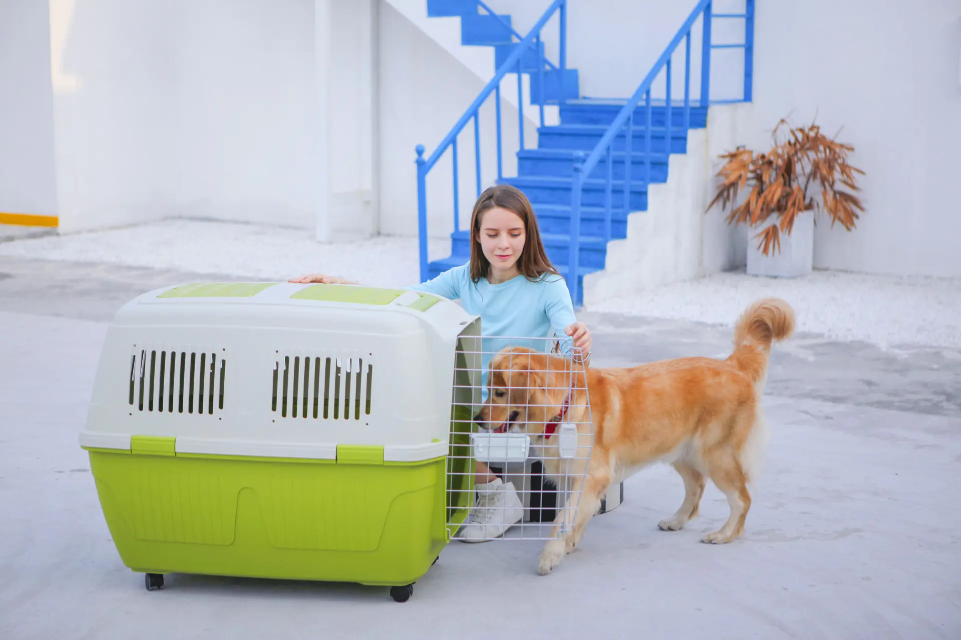 2024 Hot sale Pet Kennels Trolley case Flight Carrier Light Travel Dog Cat Box