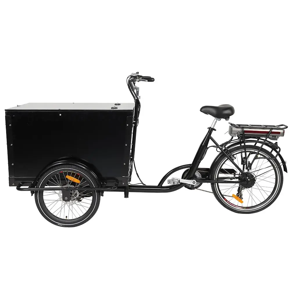 Kuake Commercial Pedicab Dutch Bike Family Cargo Bike with Seat Human Rickshaw 3 Wheel Tricycle for Kids