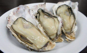 B.c.i cung cấp bột hàu cấp thức ăn cho trang trại tôm và Trại giống - Product Image 2