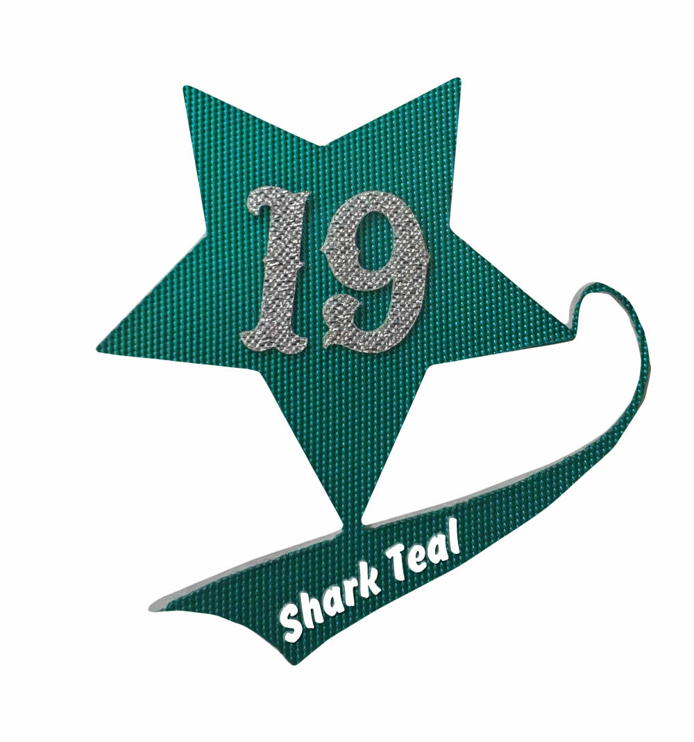 19 # Sarcelle requin