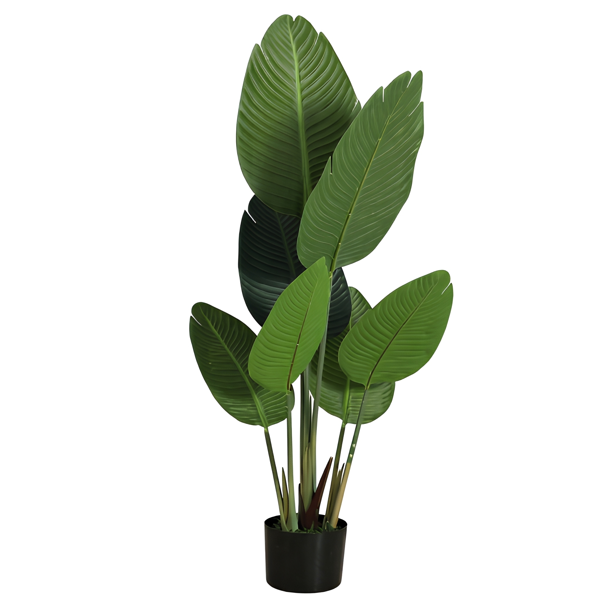 110cm 7 leaves