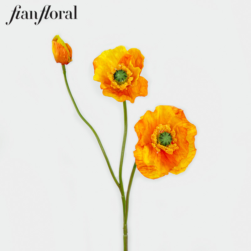 Jaune-10.Y0057