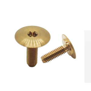 定制Din 912 GR5 M2 M2.5 M3 M6钛梅花螺钉钛螺栓 - Product Image 3