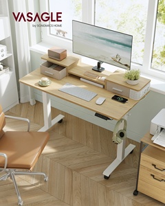 VASAGLE singolo motore ergonomico moderno Computer da ufficio tavolo elettrico regolabile in altezza scrivania in piedi - Product Image 2