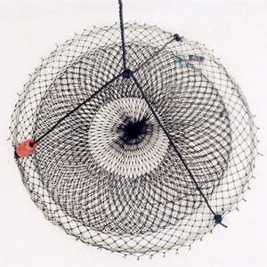 Thị trường Australia cua drop ròng, cua tôm hùm bẫy - Product Image 2