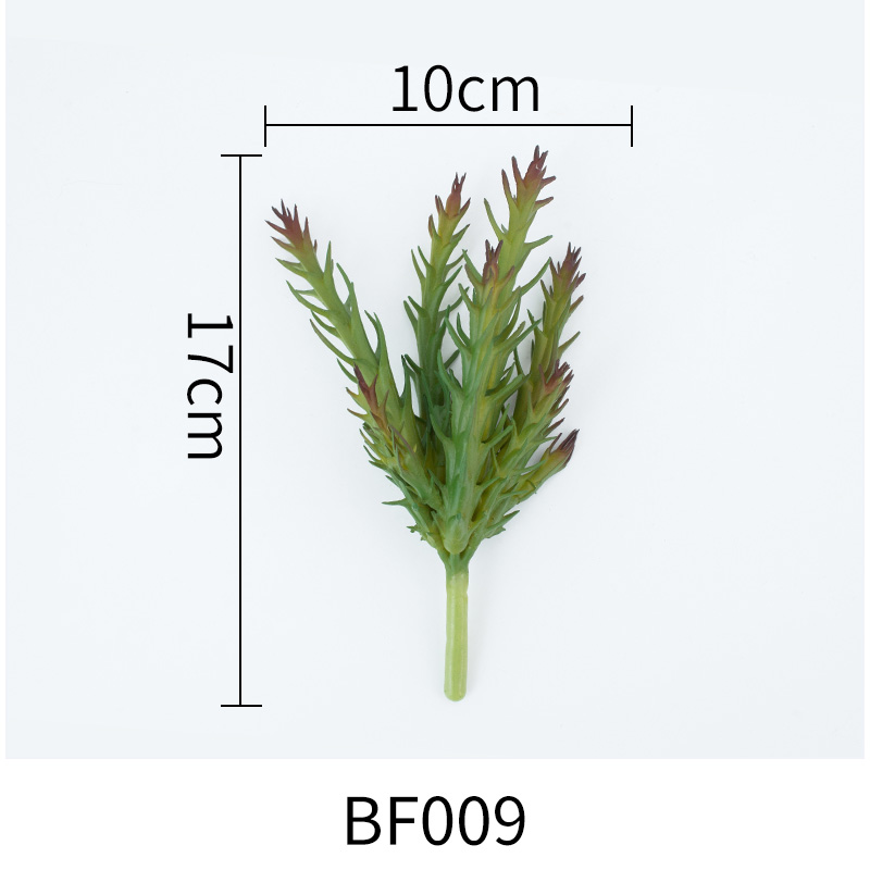BF009