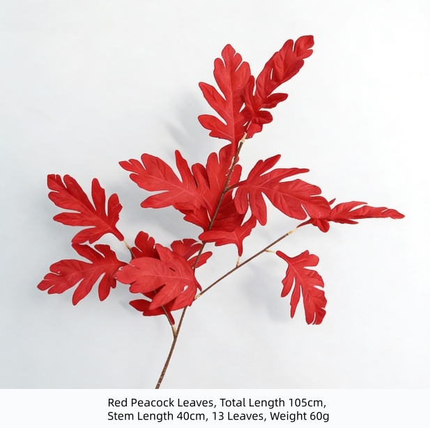 Red Peacock Leaves