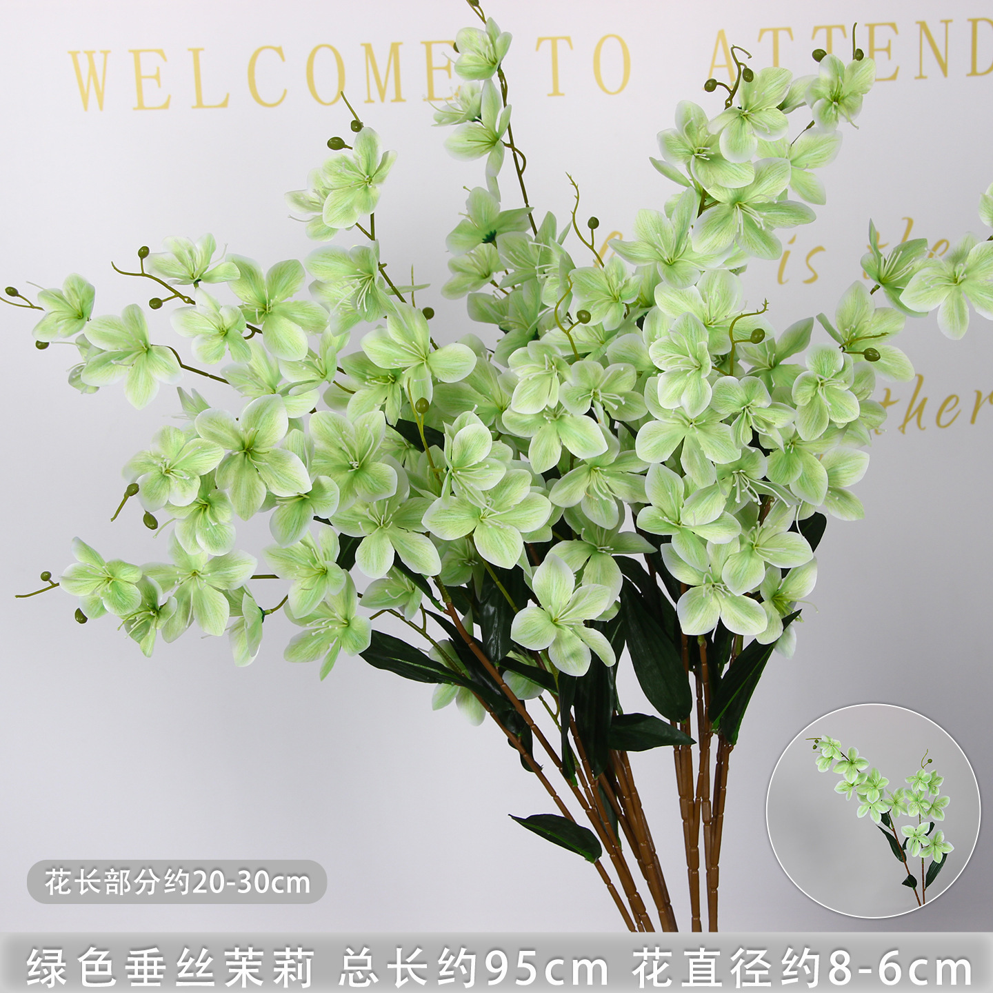 Branche de jasmin pleureur vert