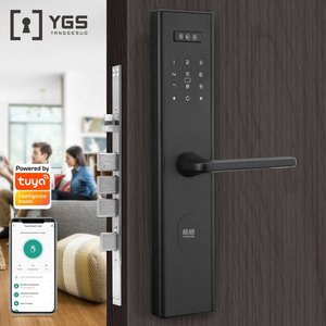 SYG緊急キーパスワードカード顔認識多重暗号化アルゴリズム技術電子スマートハンドルドアロック - Product Image 1