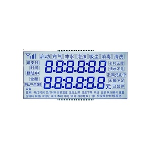 Dot Matrix Lcd 160x160 Monochrom-Display Kunden spezifisches Punktmatrix-LCD-Display Transparentes Zeichen-LCD-Modul - Product Image 4