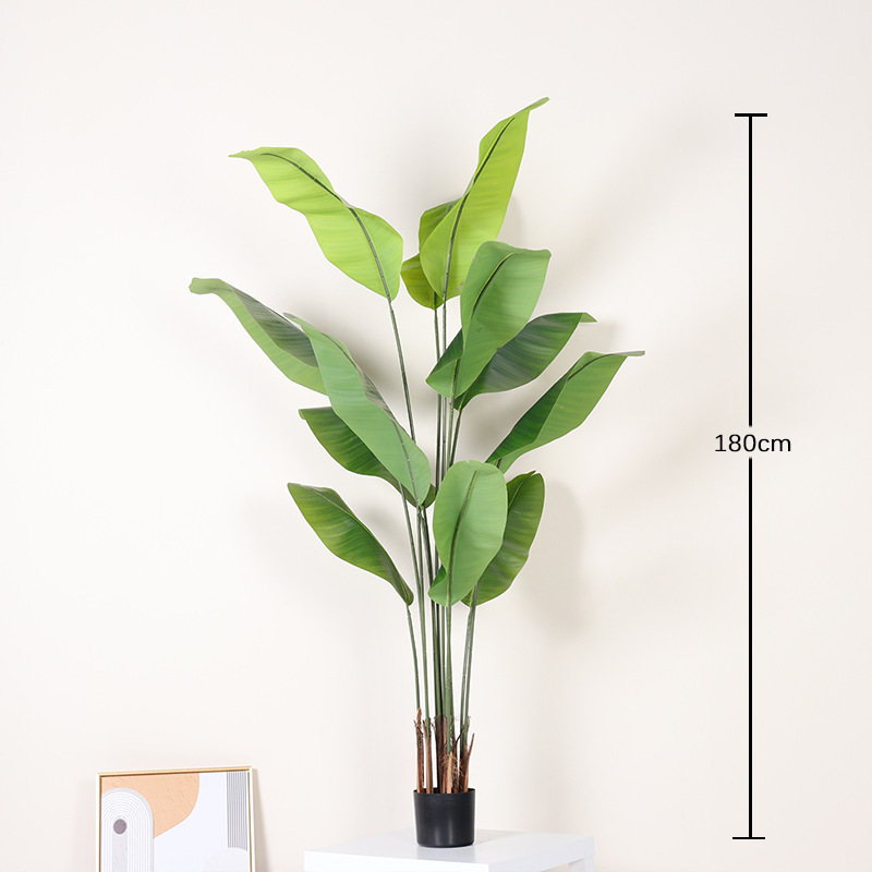 Green 180cm