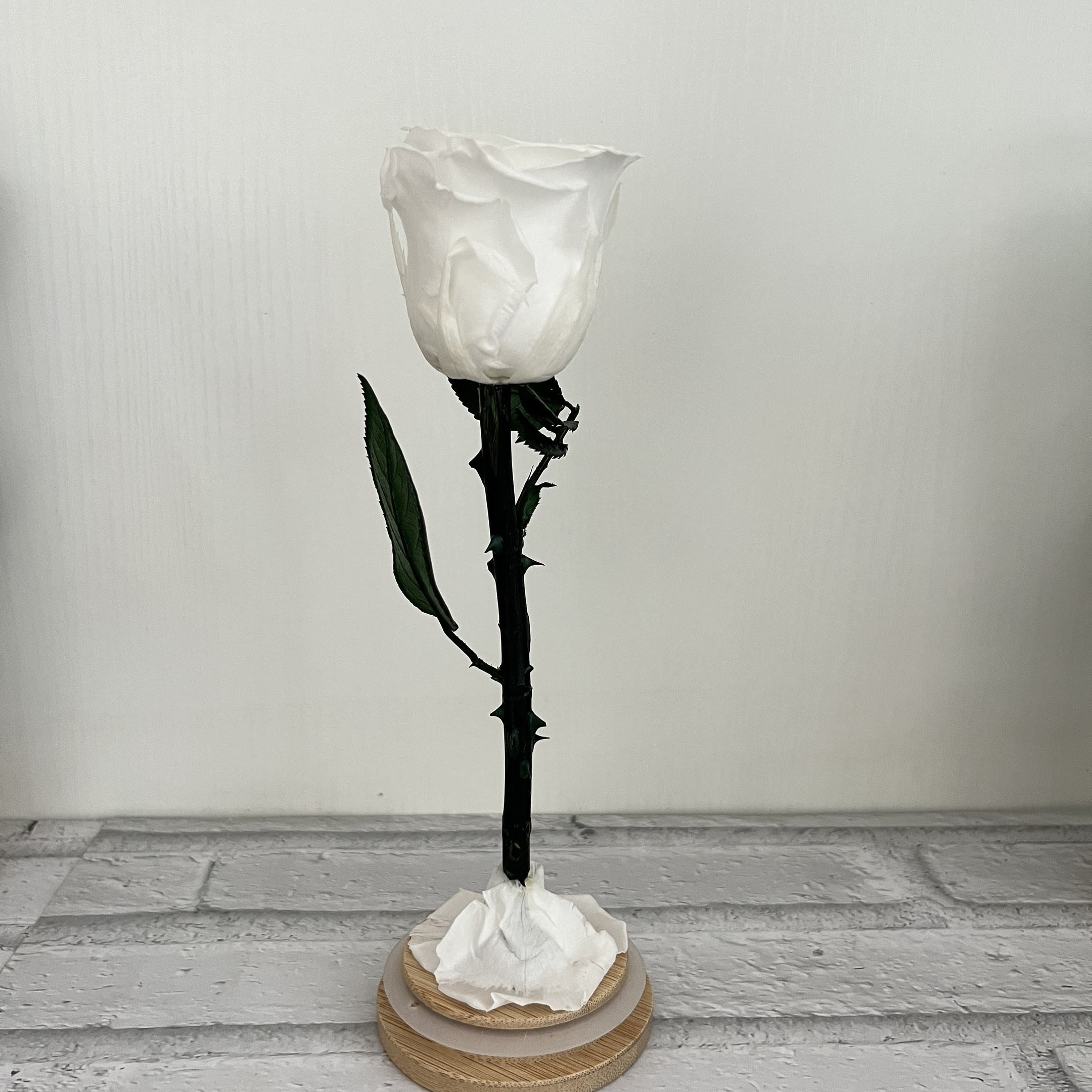 Blanco (7*23cm)