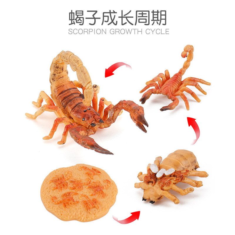 scorpion