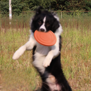 耐久性のあるフローティング犬フリスビーインタラクティブペットおもちゃフェッチトレーニング用防水 & 耐バイトフライングディスク屋外プレイ用 - Product Image 1