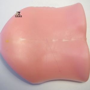 Transforaminal Endoscope Simulation <strong>Human</strong> <strong>Back</strong> Model TESSYS Model Lumbar Disc Herniation Training Model - Product Image 1