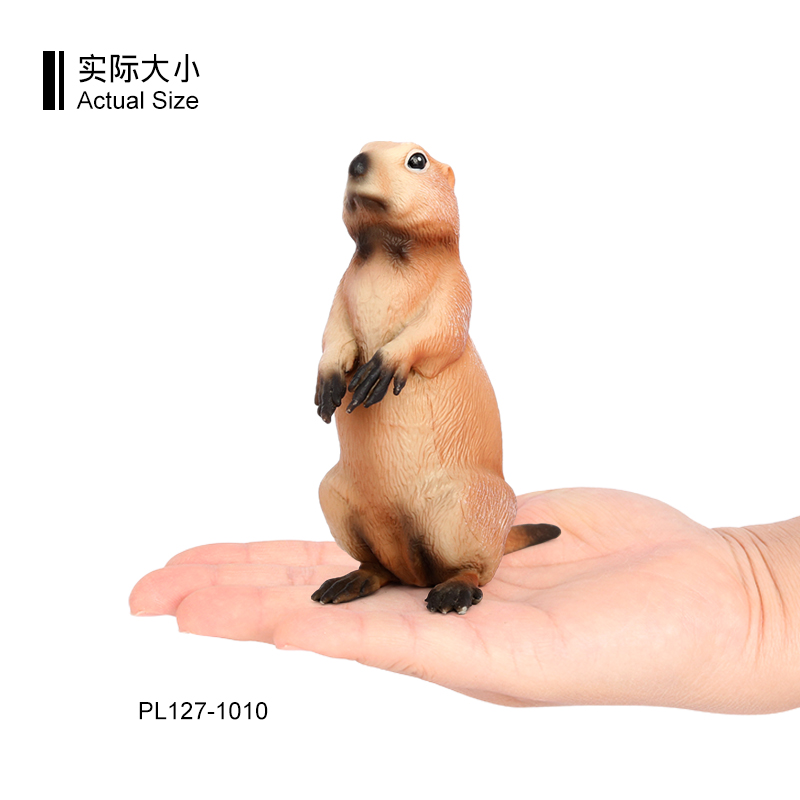 1010 marmota marrón