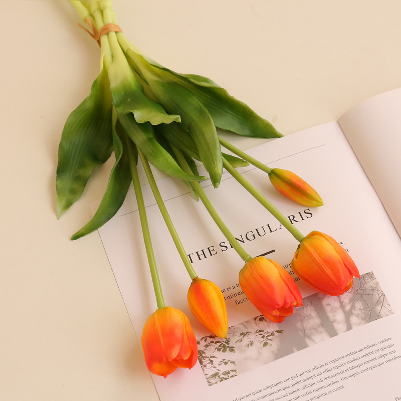 Coucher de soleil