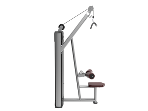 青道商用INPEK力量健身房机销装背设备手臂机拉下 - Product Image 3