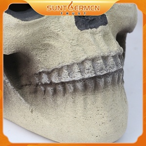 Skelett Knochen realistische Scheiben menschliches Skelett für Halloween - Product Image 5